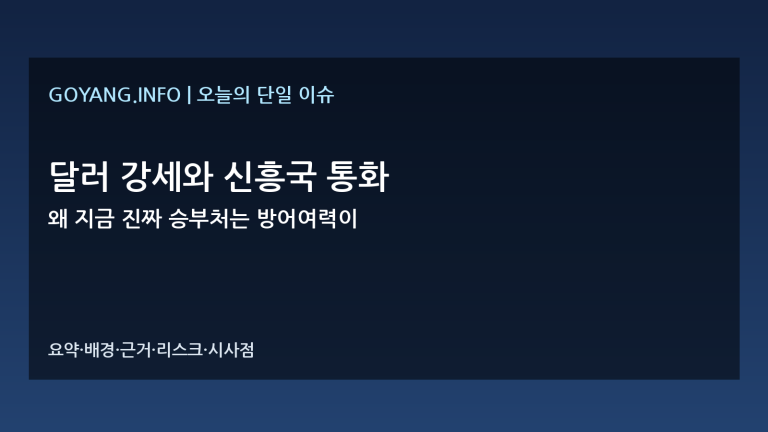 달러 강세와 신흥국 통화 심층분석 썸네일